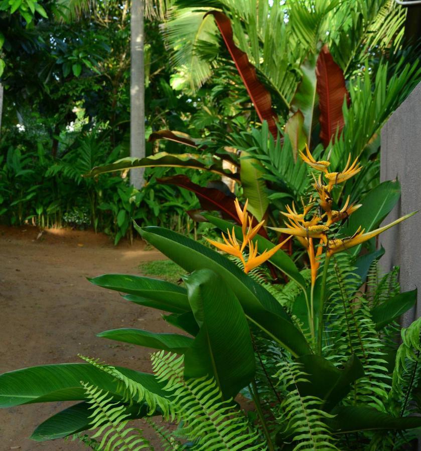 View Guesthouse & Bistro At Goyambokka Tangalle Buitenkant foto