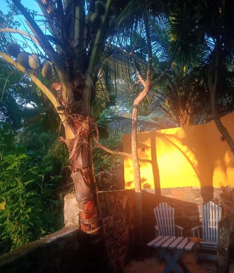 View Guesthouse & Bistro At Goyambokka Tangalle Buitenkant foto