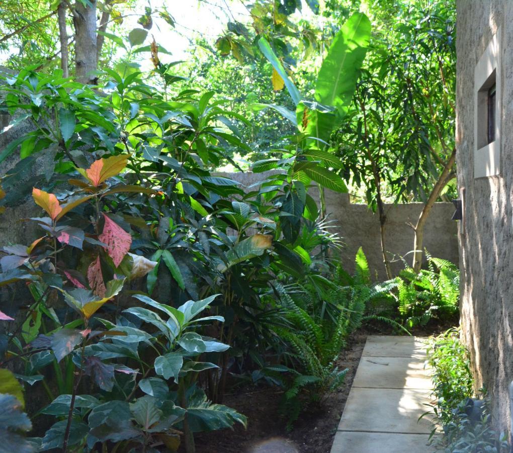 View Guesthouse & Bistro At Goyambokka Tangalle Buitenkant foto